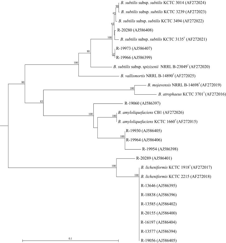 FIG. 2.