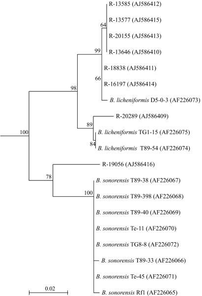 FIG. 3.