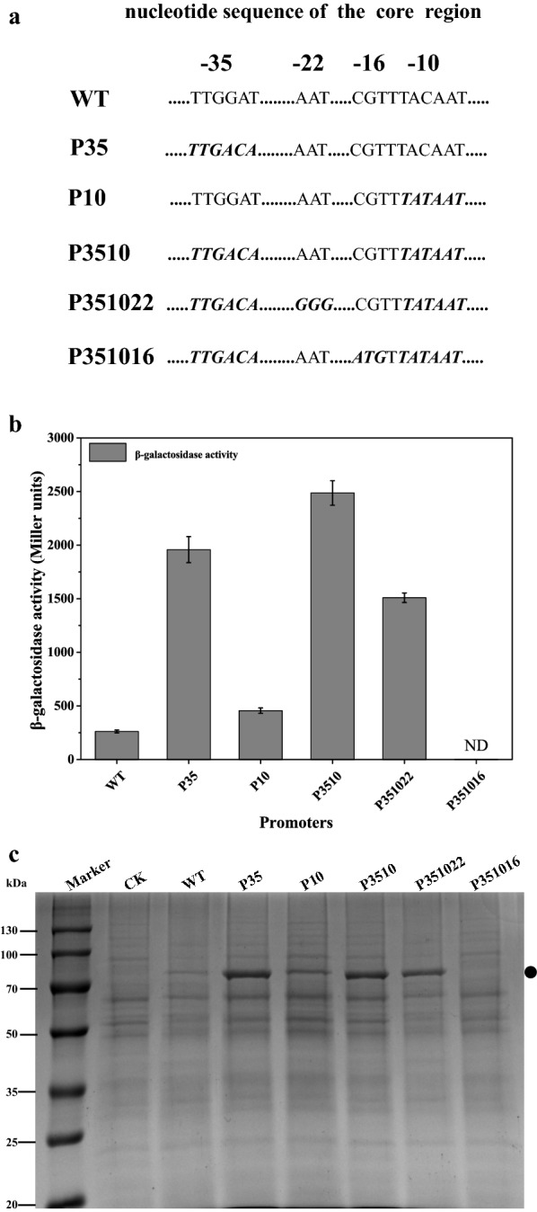 Fig. 2