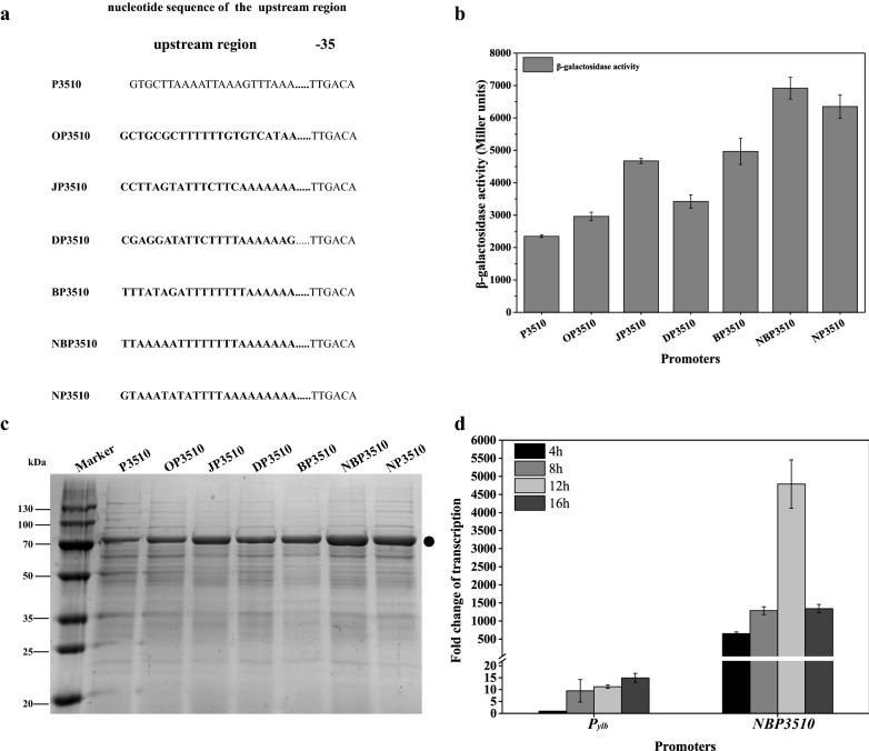 Fig. 3