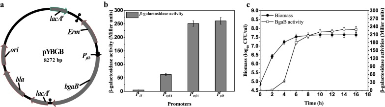 Fig. 1