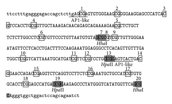 Figure 6