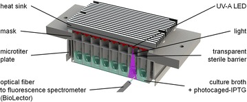 Fig. 1