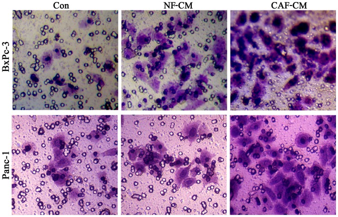 Figure 5.