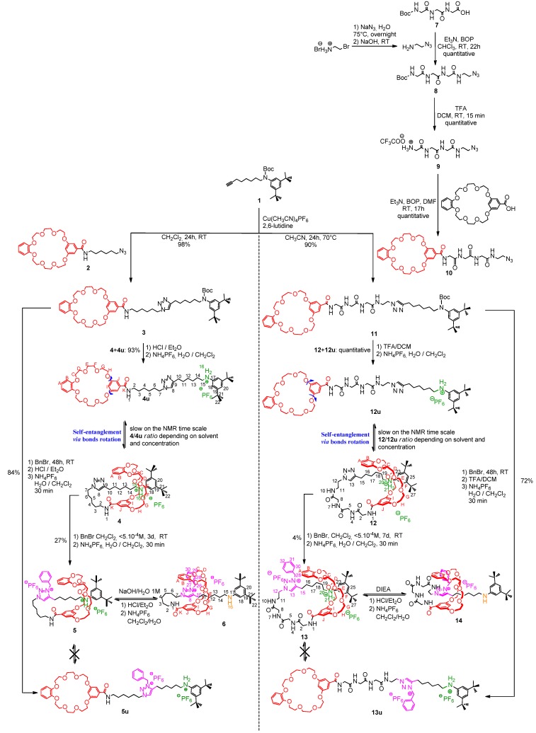 Scheme 1