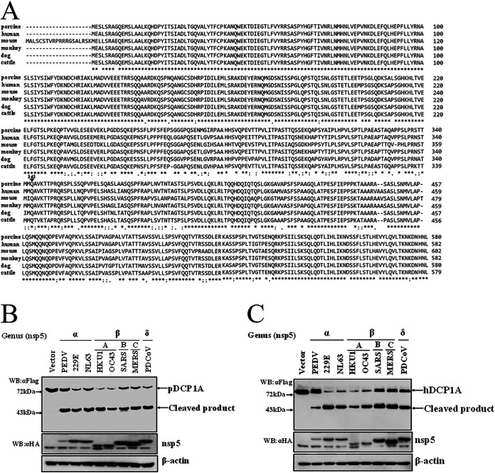 FIG 6