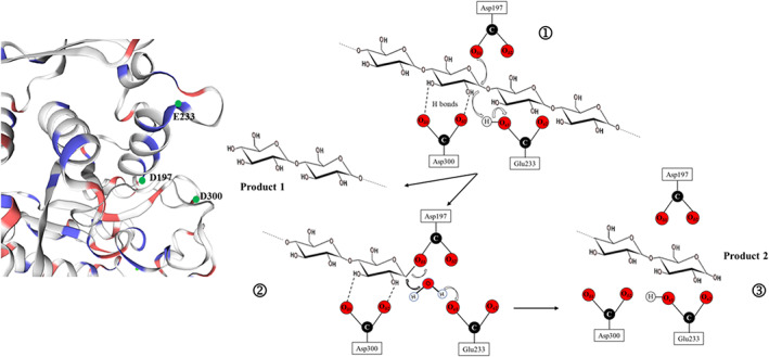 FIGURE 1