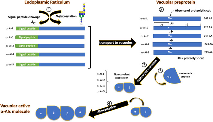 FIGURE 3