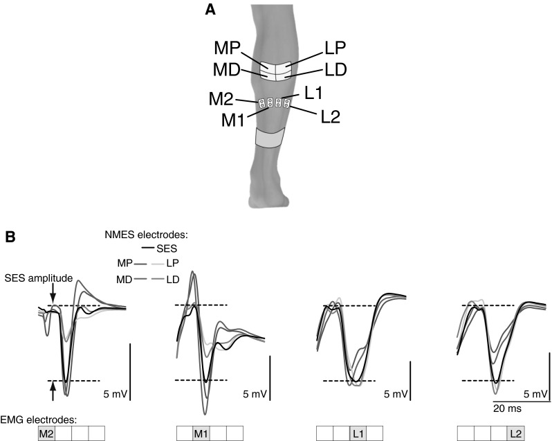 Fig. 6