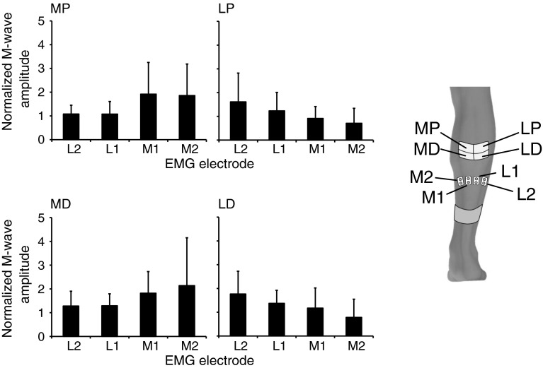 Fig. 7