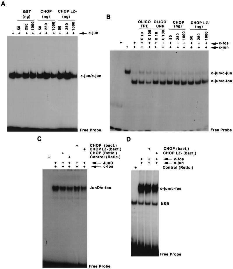 FIG. 7