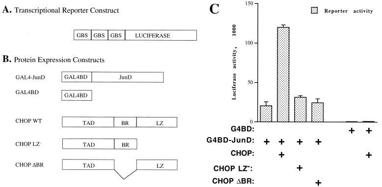 FIG. 8