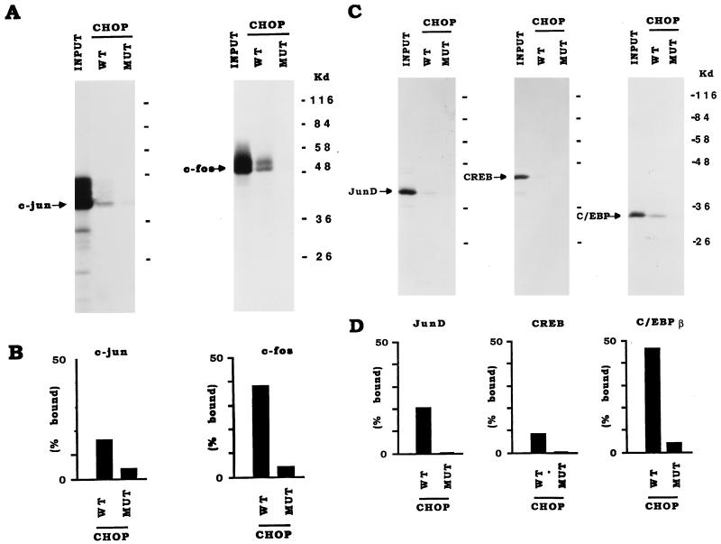 FIG. 6