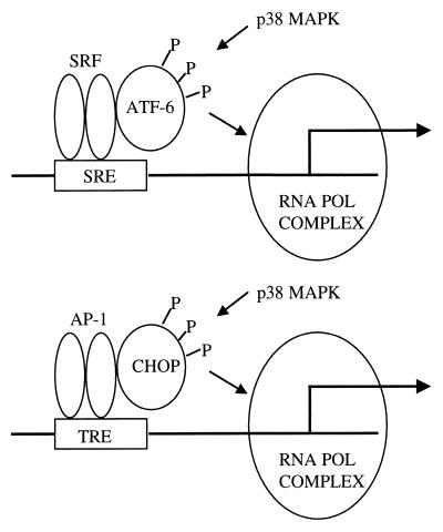 FIG. 9