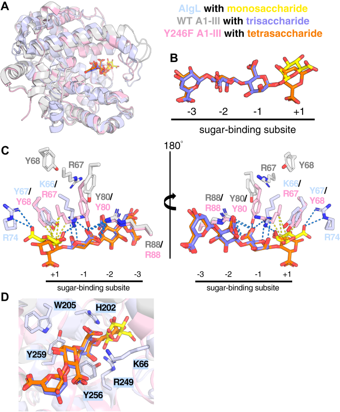 Figure 3