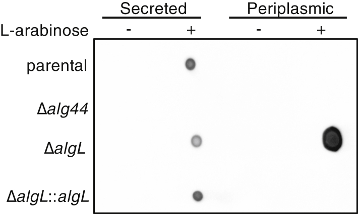 Figure 6