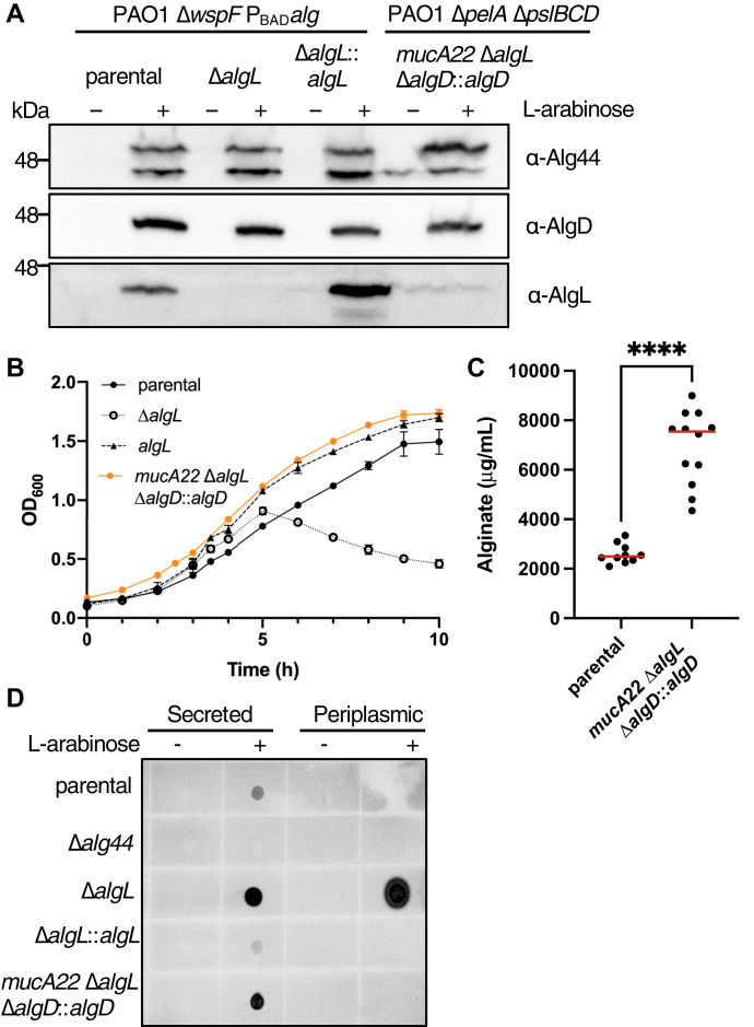 Figure 7