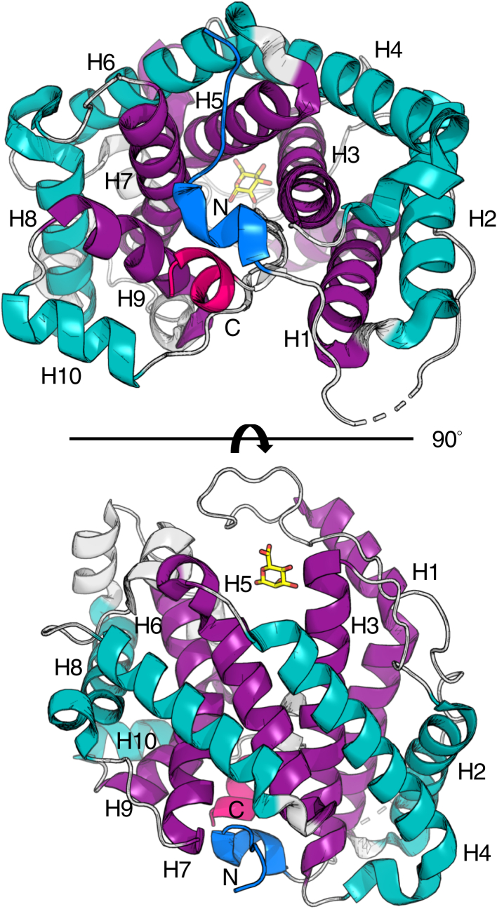 Figure 1