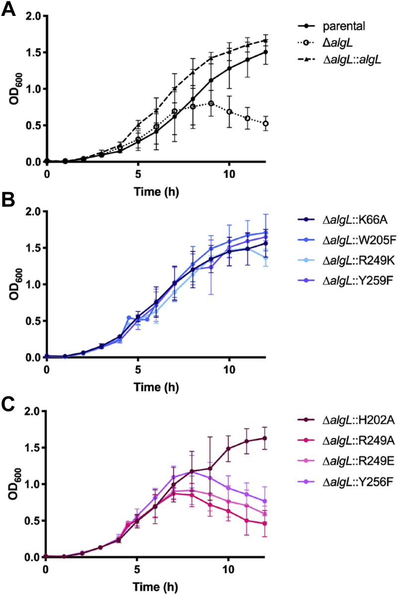 Figure 4