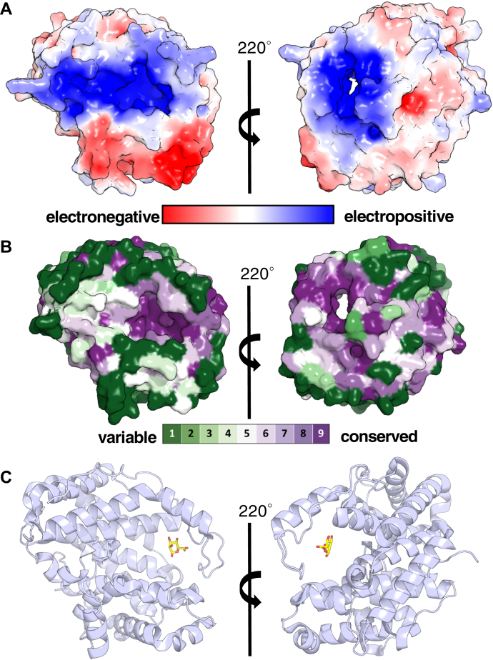 Figure 2