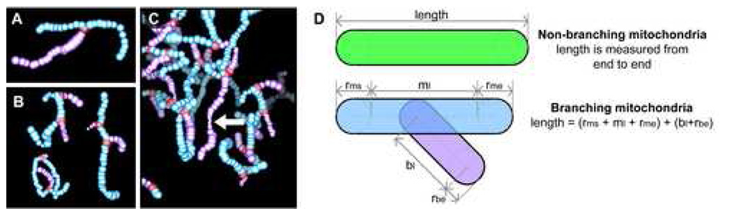 Fig. 6