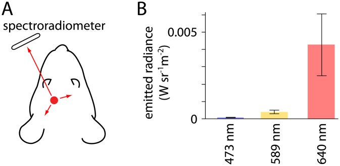 Fig 5