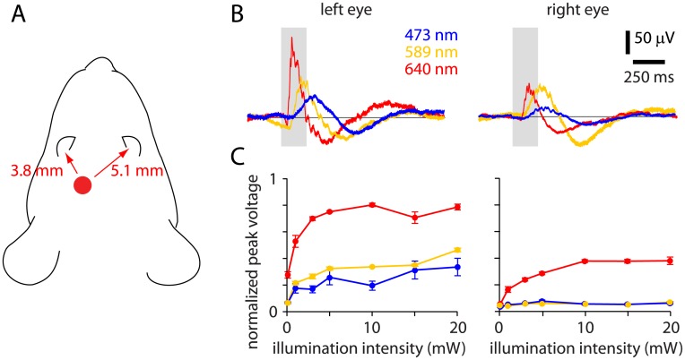 Fig 4