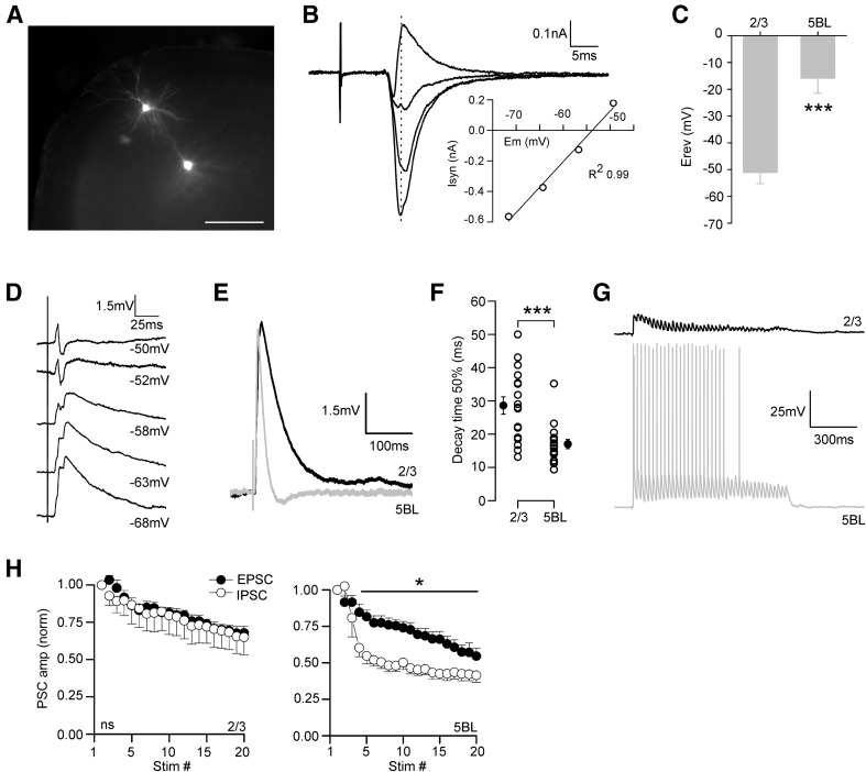 Fig. 9