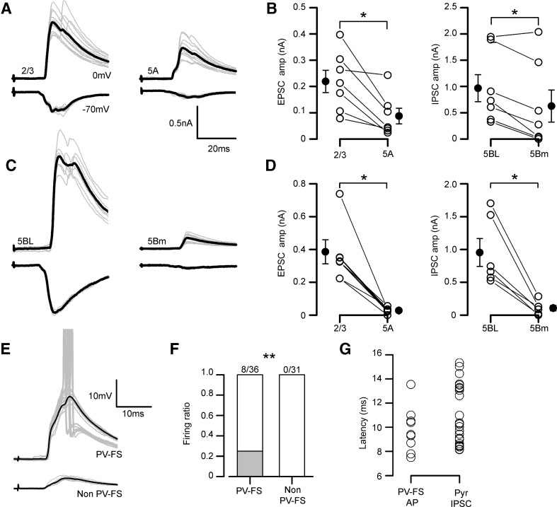 Fig. 7