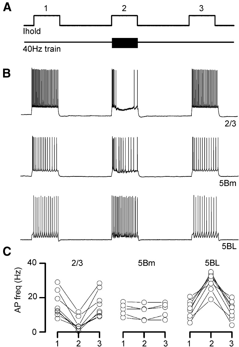 Fig. 10