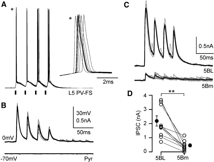 Fig. 8