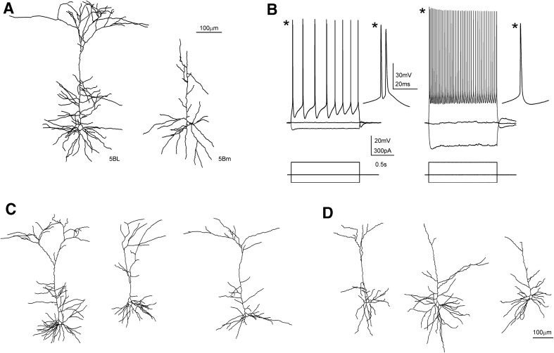 Fig. 3