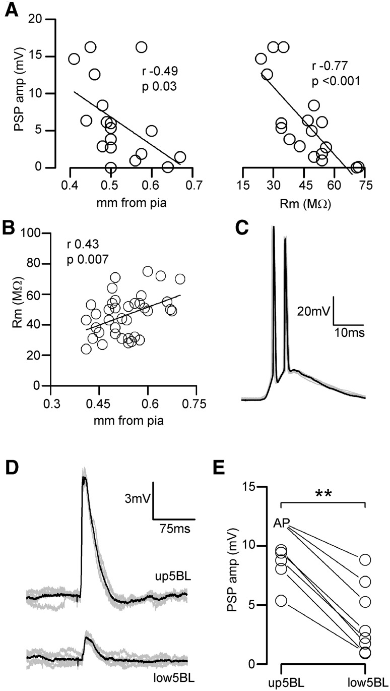 Fig. 5