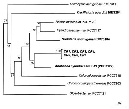 FIG. 2