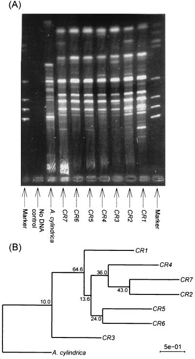 FIG. 3