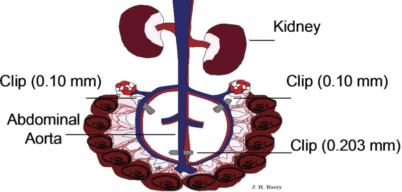 Fig. 2.