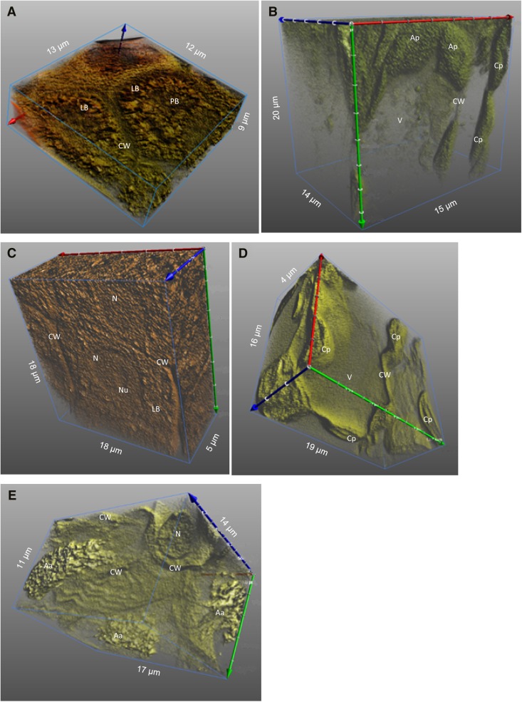 Fig. 5.