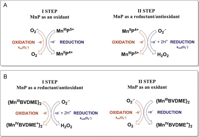 Scheme I