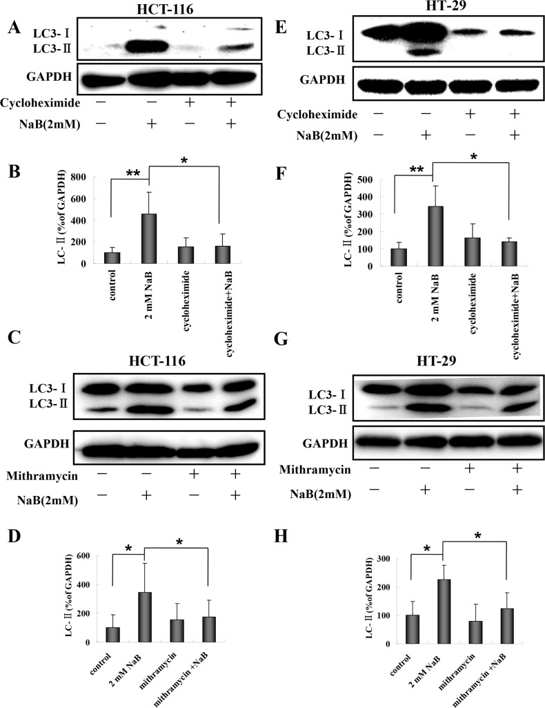 Fig 8