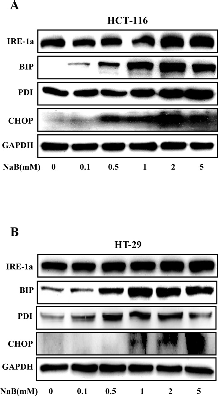 Fig 5