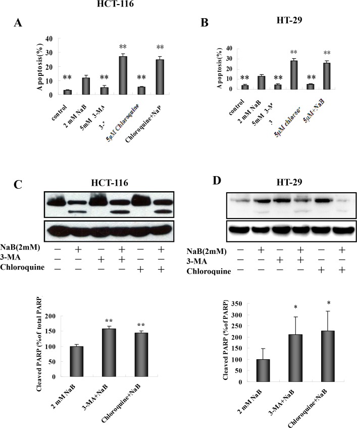 Fig 10