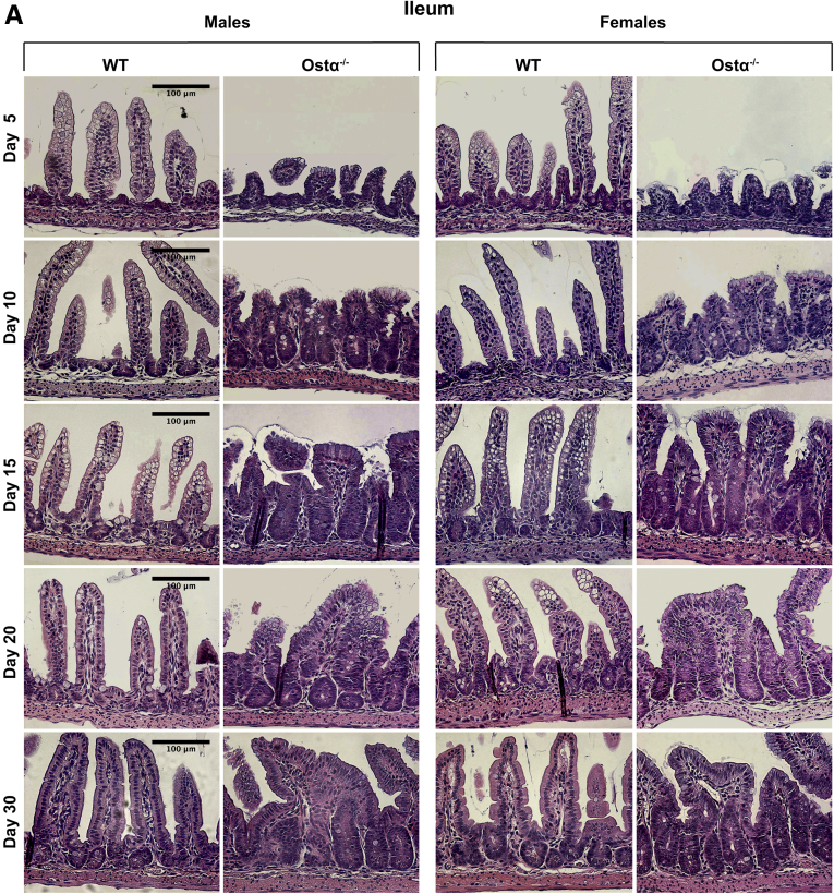 Figure 3