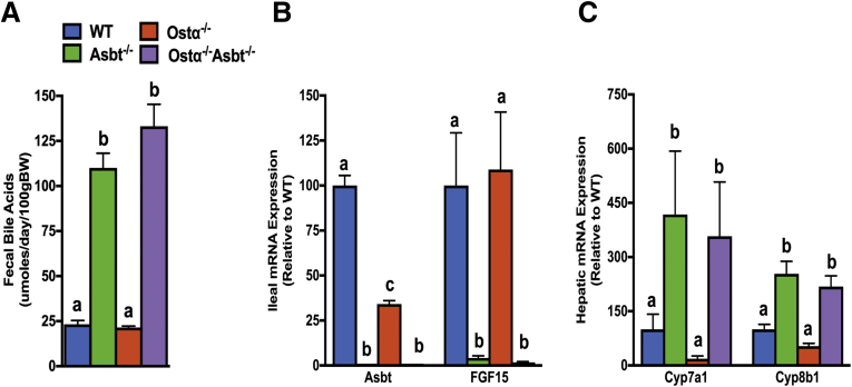 Figure 10