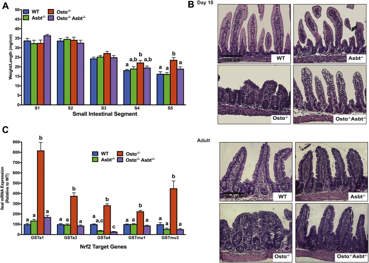 Figure 11