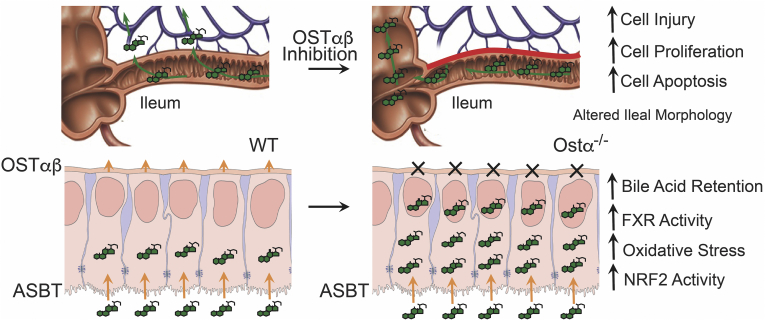 Figure 12