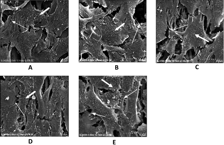 Figure 3