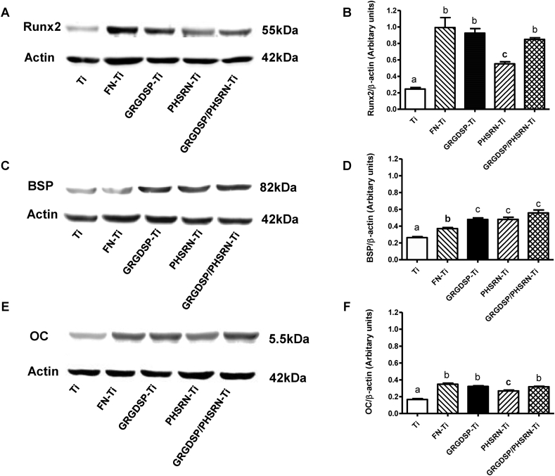 Figure 6