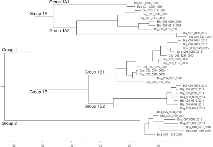 Fig 6