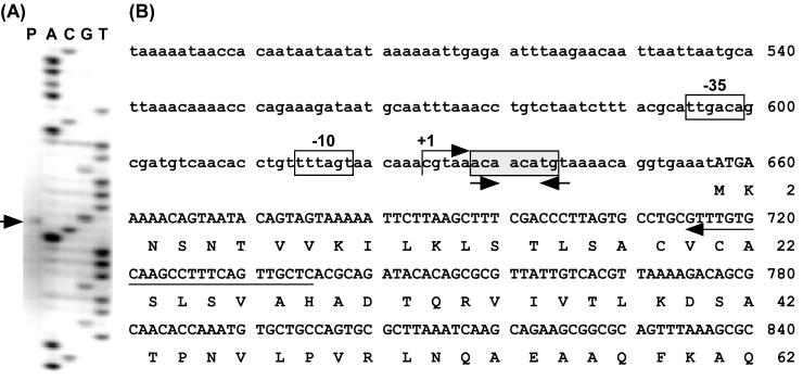 FIG. 8.