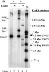 FIG. 5.